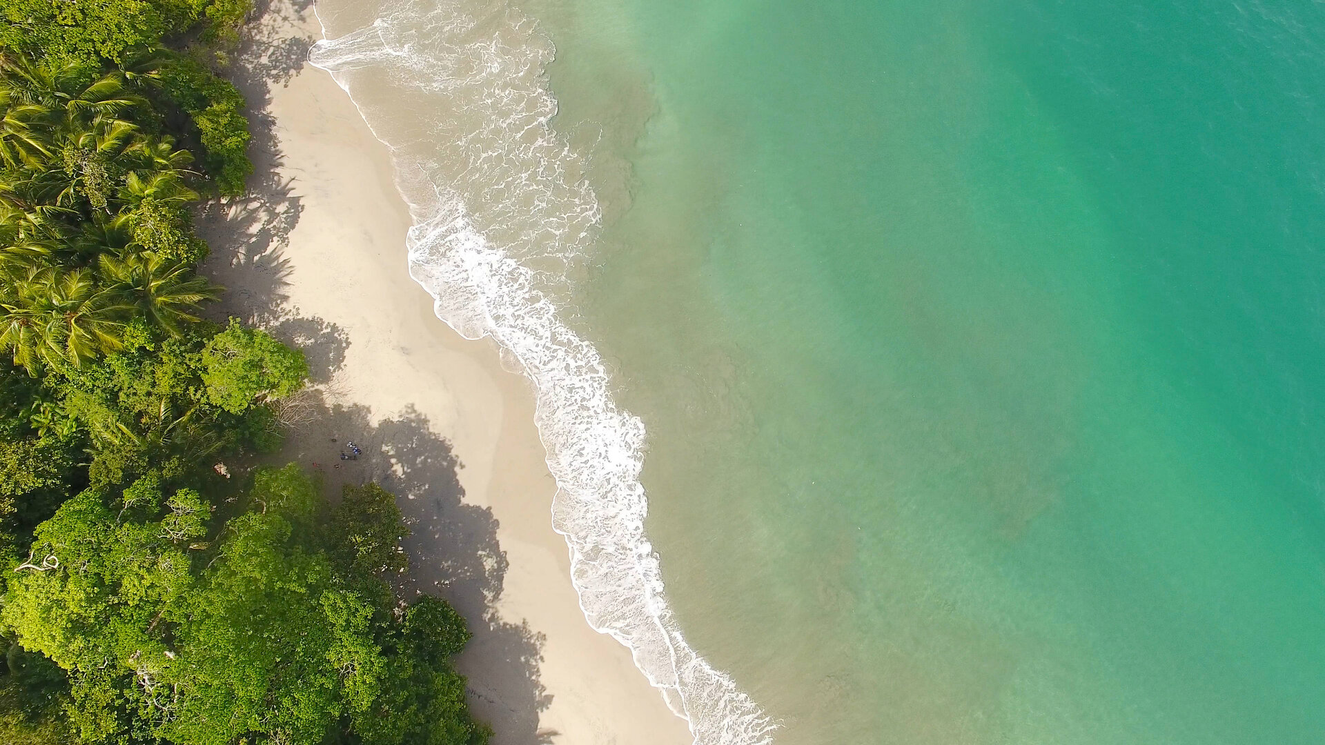 Luftaufnahme des Strandes von Manuel Antonio, Costa Rica, mit klarem türkisem Wasser und Bäumen entlang der Küste.