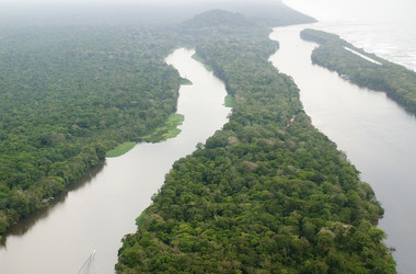 Flüsse und Wald im Nationalpark Costa Rica