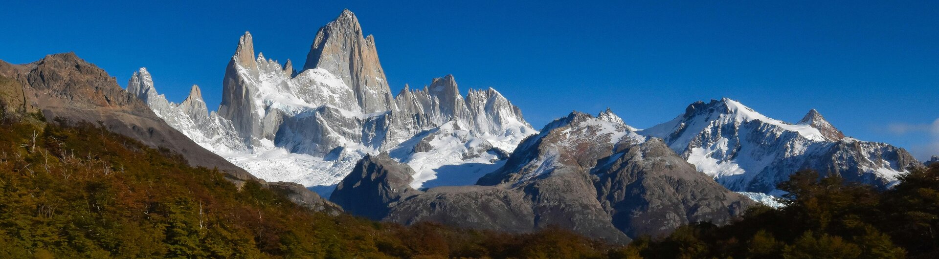 Berg Monte Fitz Roy bei El Chaltén spiegelt sich in einem flachen, schilfbestandenen See unter blauem Himmel.
