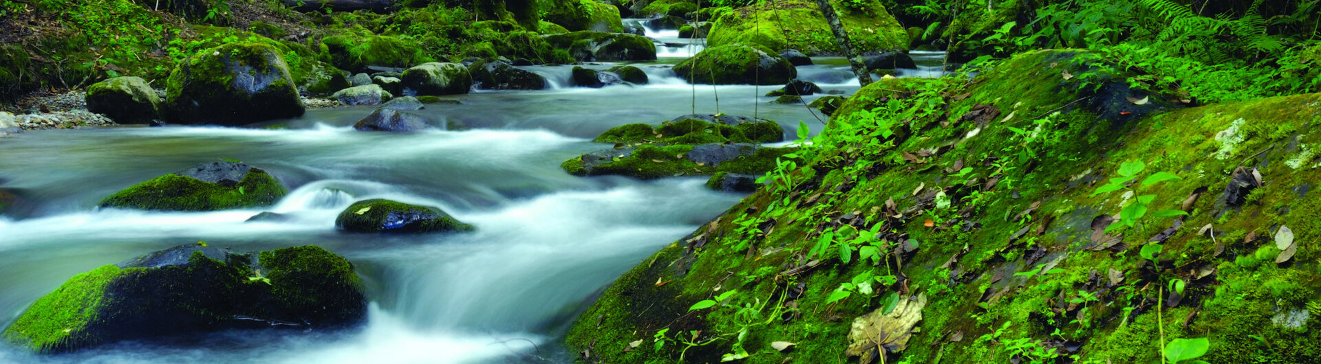Flusslandschaft am Savegre River in Costa Rica, umgeben von üppigem Grün und Felsen.
