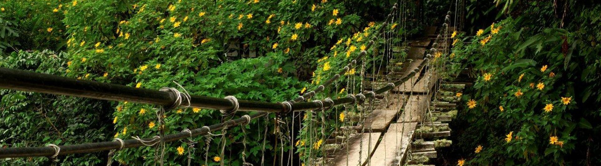 Hängebrücke zum Wasserfall El Chorro Macho in Valle de Anton, Panama