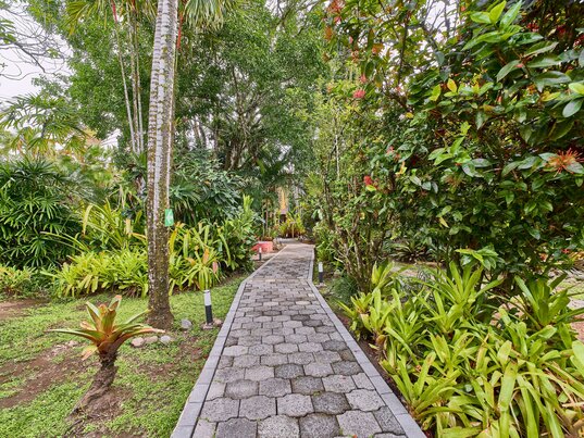 Steinterrasse als Weg durch eine dichte tropische Gartenanlage in Cahuita.