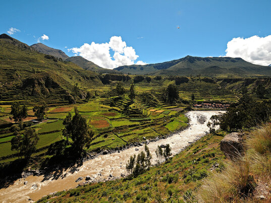 Grünes Tal beim Colca Canyon, Peru.