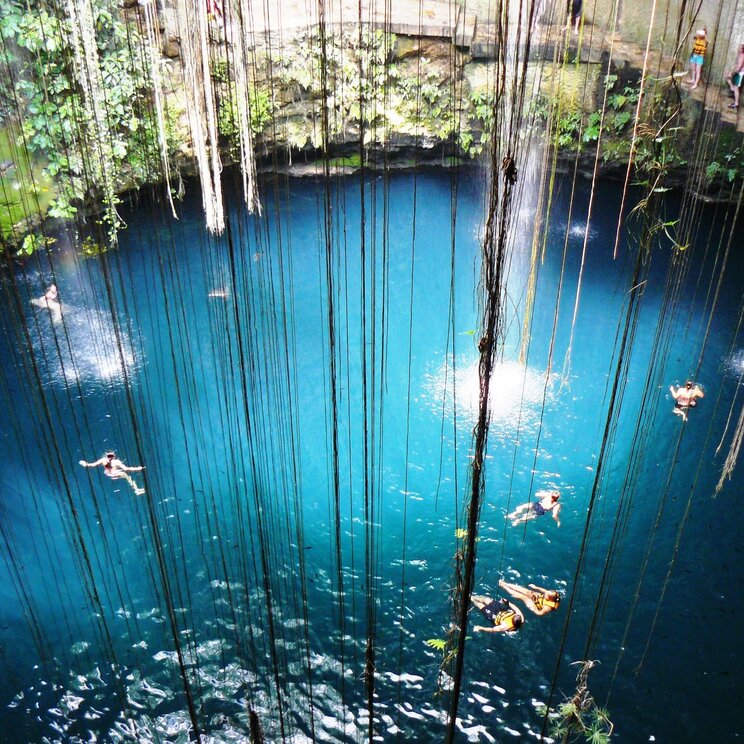Cenote mit türkisblauem Wasser und Lianen
