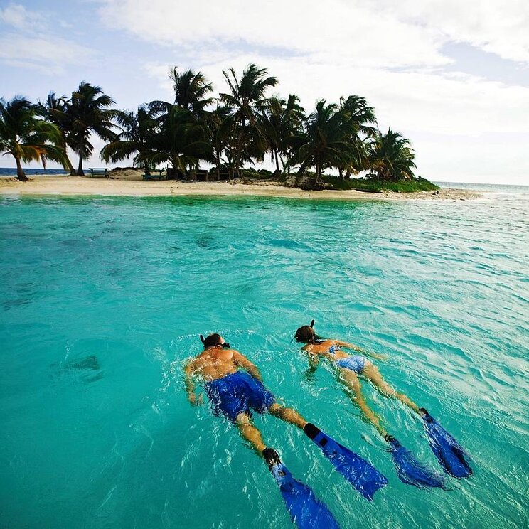 Zwei Personen schnorcheln im türkisfarbenen Wasser direkt vor einer Insel in Belize