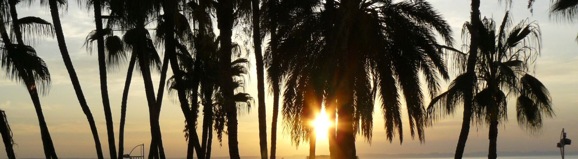 Sonnenuntergang mit Palmen