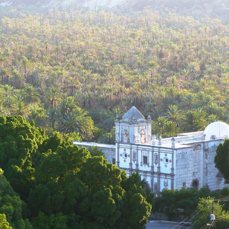 Weiße Villa im Dschungel Baja California