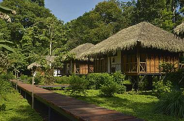 Außenansicht der Sacha Lodge im grünen Amazonas von Ecuador