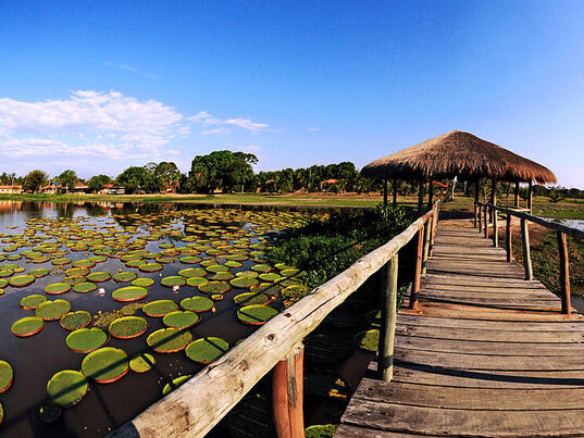 Holzsteg mit Strohdach-Pavillon am See im Hotel Pantanal Norte in Porto Jofre, Brasilien, umgeben von riesigen Seerosen.