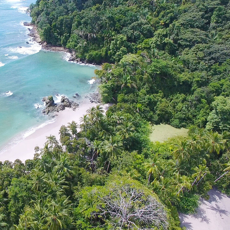 Luftaufnahme des Strandes in Manuel Antonio während der Reise "Erlebnis Manuel Antonio" von Gateway Lateinamerika.