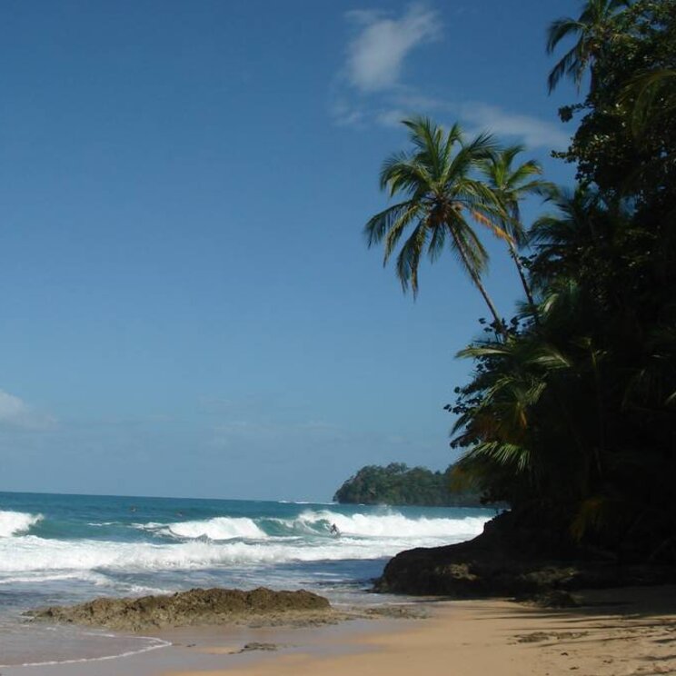 Cahuita Nationalpark auf der Rundreise Costa Rica und Panama von Gateway Lateinamerika