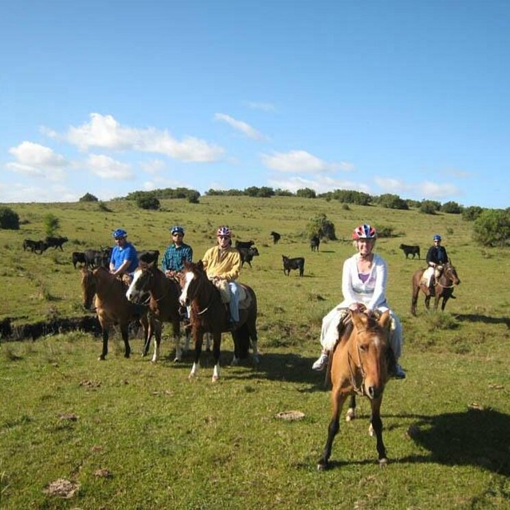 Pferde der Estancia Martin Pescador