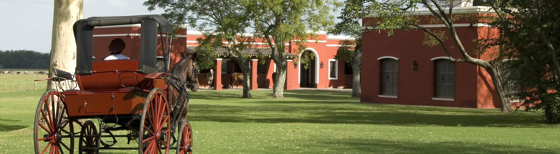 Mit der Kutsche unterwegs zur Estancia La Bamba De Areco, San Antonio de Areco