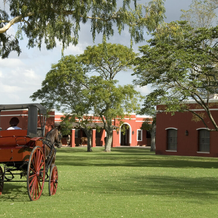 Mit der Kutsche unterwegs zur Estancia La Bamba De Areco, San Antonio de Areco