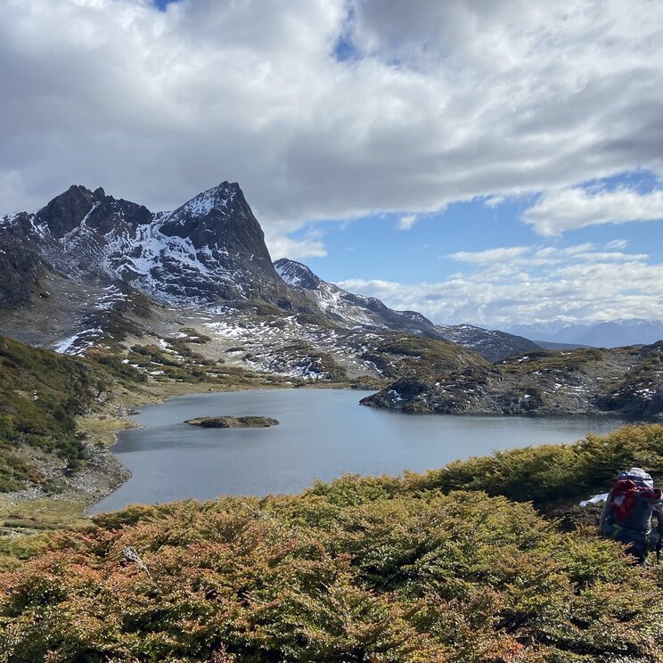 Ein Wanderer blickt über herbstliche Sträucher auf einen ruhigen Bergsee vor spitzen, schneebedeckten Gipfeln in Patagonien.
