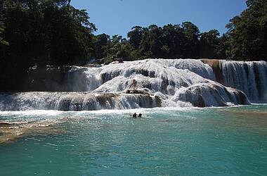 Die Cascadas de Agua Azul - Wasserfälle auf dem "Gringo Trail" in Chiapas