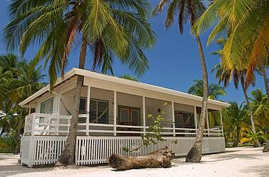 Weißer Bungalow aus Holz umgebend von Palmen auf South Water Caye Belize