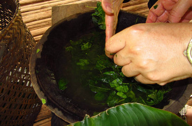 Blätter waschen bei den Embera Indianern