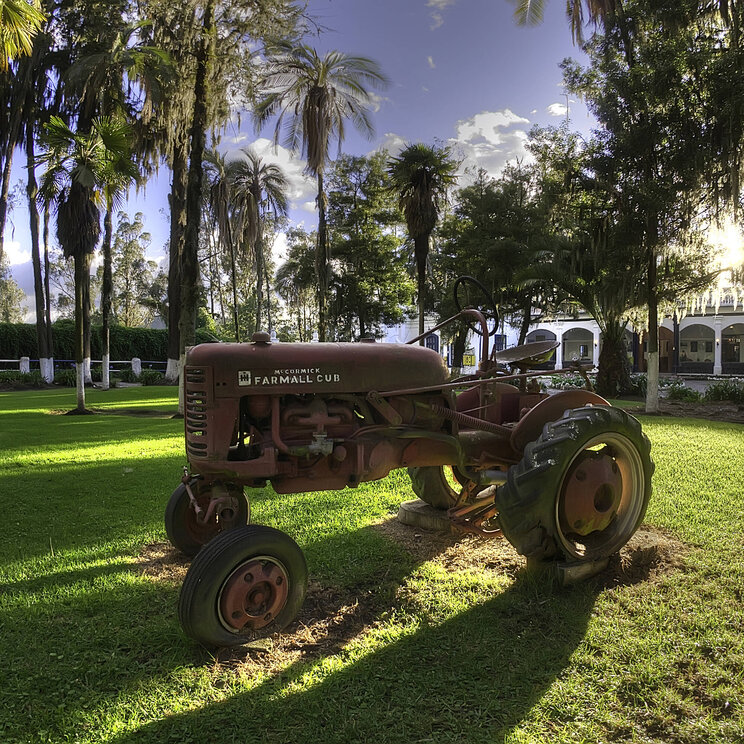 Der Garten im Hotel Hacienda Pinsaqui