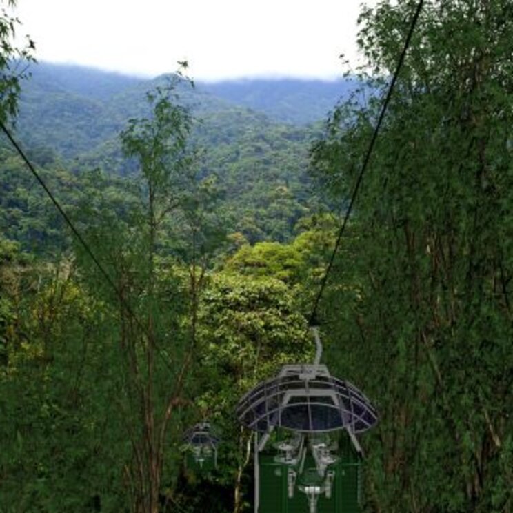Mit der Seilbahn durch den Regenwald rund um die Mashpi-Lodge nahe Quito, Ecuador