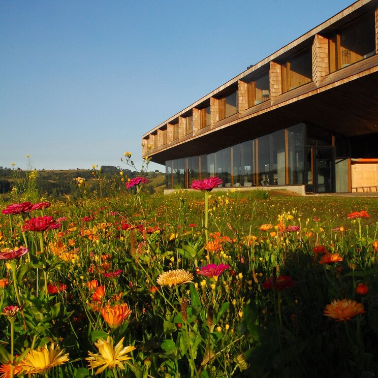 Wiese vor dem Tierra Chiloe Hotel Boutique