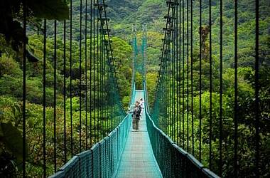 Hängebrücke im Selvatura Park in Monteverde