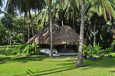 Bungalow unter Palmen im Hotel Playa Koralia, Karibikküste von Buritaca