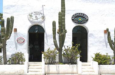 Weiße Fassade mit Kakteen in Todos los Santos