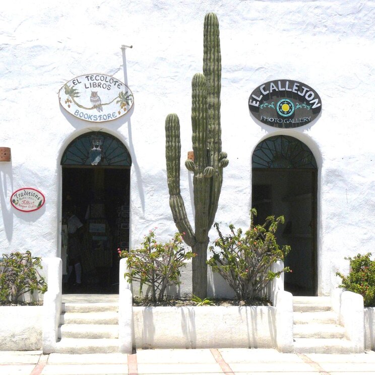 Weiße Fassade mit Kakteen in Todos los Santos