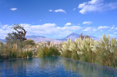 Infinity-Pool spiegelt blauen Himmel und weisse Wolken neben hohem Pampasgras vor Vulkanlandschaft in Chile.