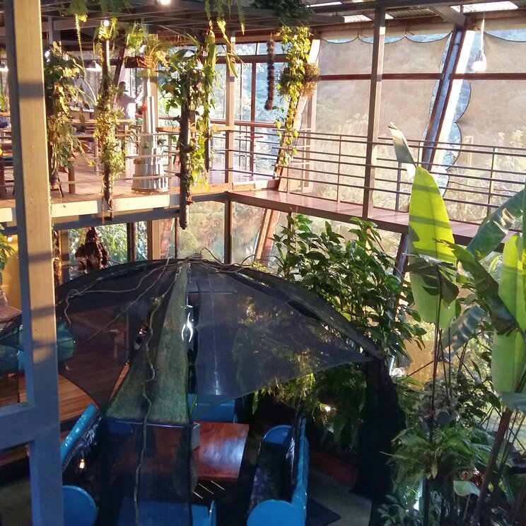 Lichtdurchfluteter, mehrstoeckiger Innenraum der Celeste Mountain Lodge in Costa Rica mit vielen gruenen Pflanzen.