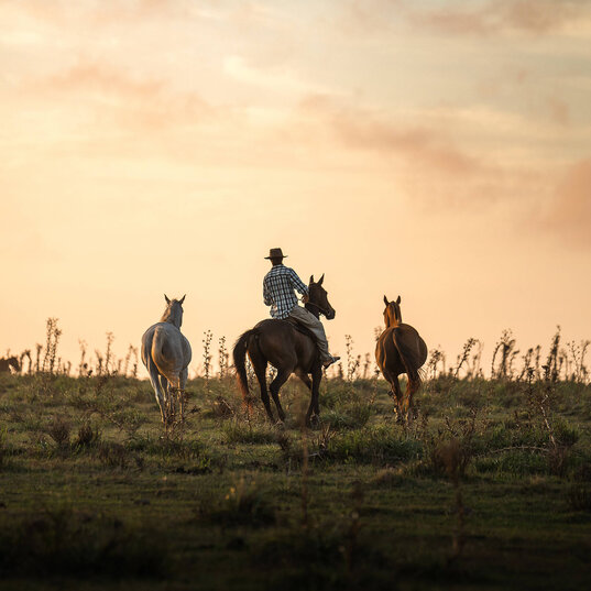 Gaucho flankiert von zwei Pferden in der Abenddämmerung