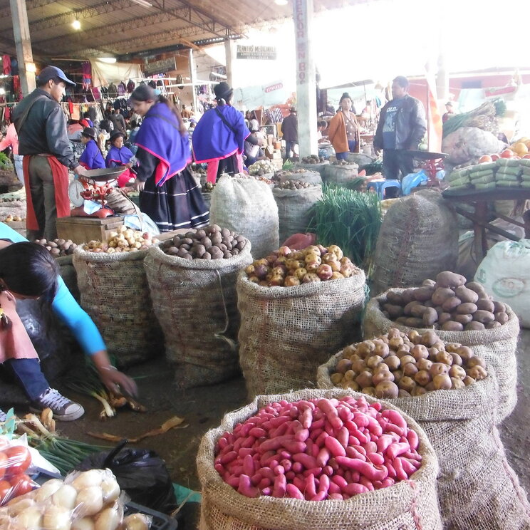 Verkäuferin auf einem Markt mit lokalen Produkten