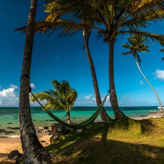 Palmen am Sandstrand von Corn Island