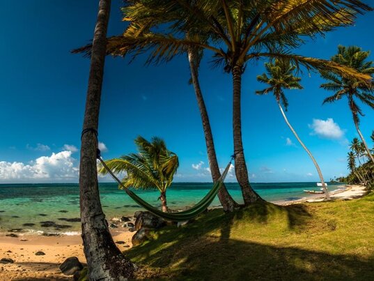 Palmen am Sandstrand von Corn Island