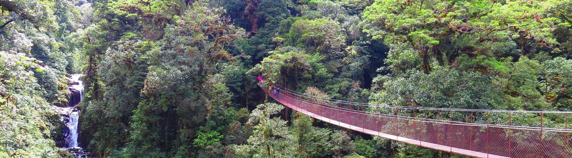 Tolle Hängebrücke über den Baumwipfeln beim Tree Trek Boquete