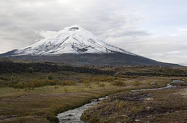 Der Vulkan Cotopaxi auf der Straße der Vulkane Ecuador
