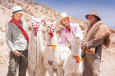 Menschen und Lamas in Salta