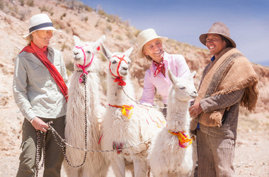 Menschen und Lamas in Salta