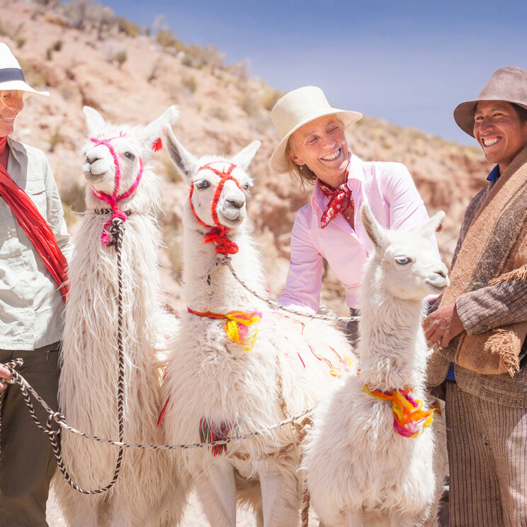 Menschen und Lamas in Salta