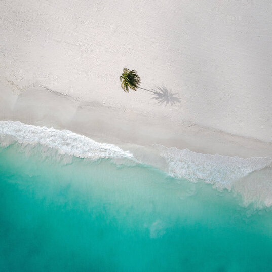 Luftaufnahme von Palm Beach auf Aruba mit einsamer Palme am weißen Sandstrand und türkisfarbenen Wellen der Karibik.