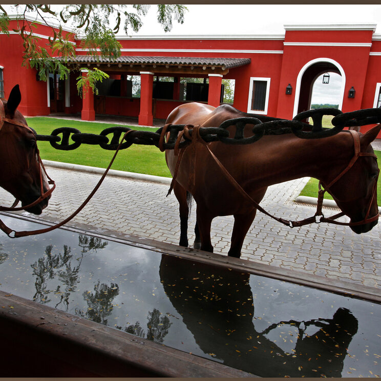 Pferde auf der Estancia La Bamba De Areco, San Antonio de Areco