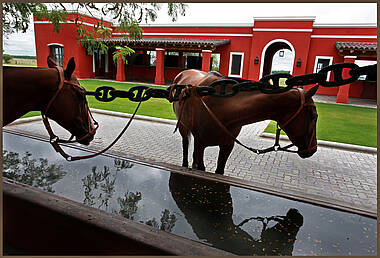 Pferde auf der Estancia La Bamba De Areco, San Antonio de Areco