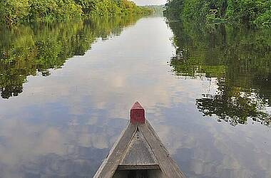 Bootsspitze im kolumbianischen Amazonas