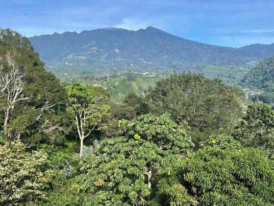 Panorama-Aussicht vom Hotel auf den bewaldeten Vulkan Baru unter blauem Himmel in Boquete, Panama.