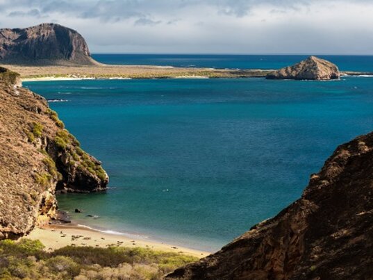 The Beagle auf San Cristobal Galapagos, Foto von Boyd Hendrikse