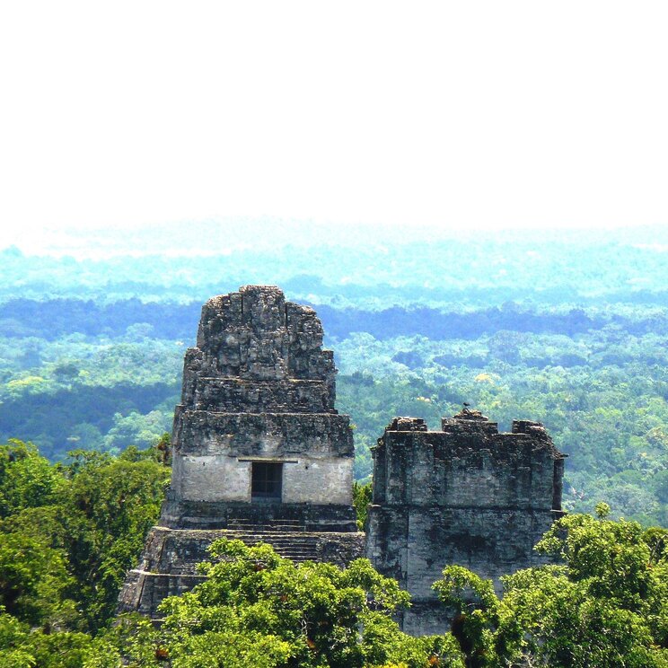 Stufentempel der Maya-Stadt Tikal über den Baumwipfeln