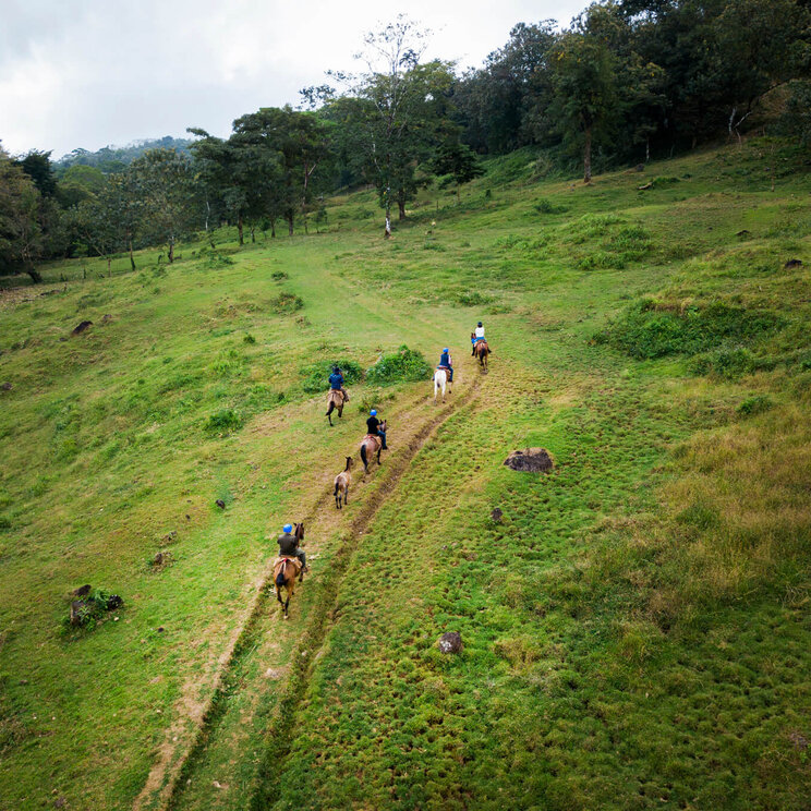 Reitausflug durch die grüne Landschaft der Origins Luxury Lodge-Gebiets in Costa Rica.