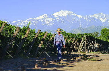Arbeiter auf Weingut in Mendoza