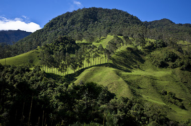 Landschaft im Kaffeedreieck in Kolumbien
